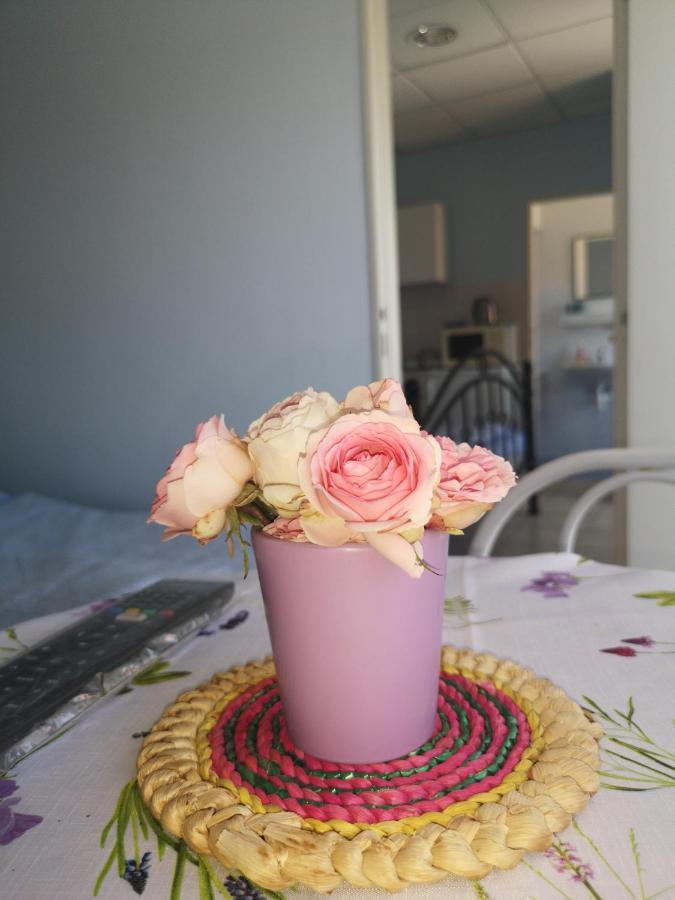 Apartament Hodosi Apartman Veľký Meder Zewnętrze zdjęcie